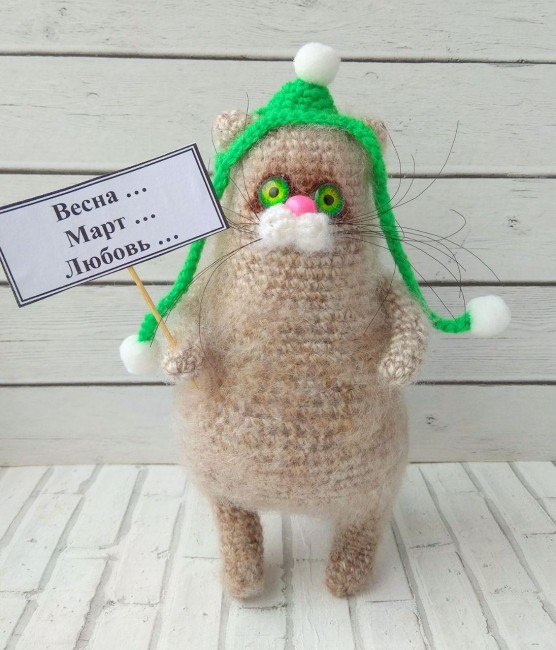 Кот в шапке