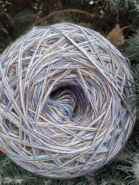 Голубая ель