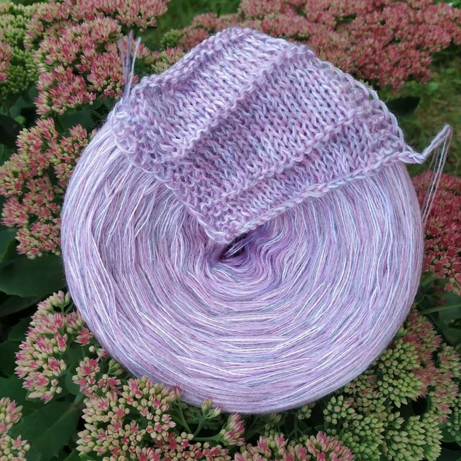 Цветок сакуры