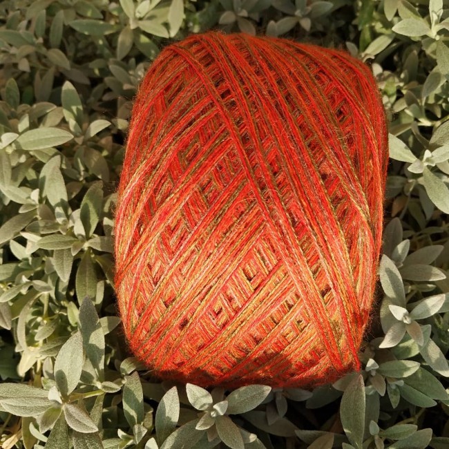 Огненный лис