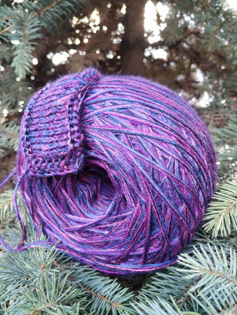 Лиловая орхидея