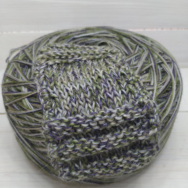 Ночная фиалка